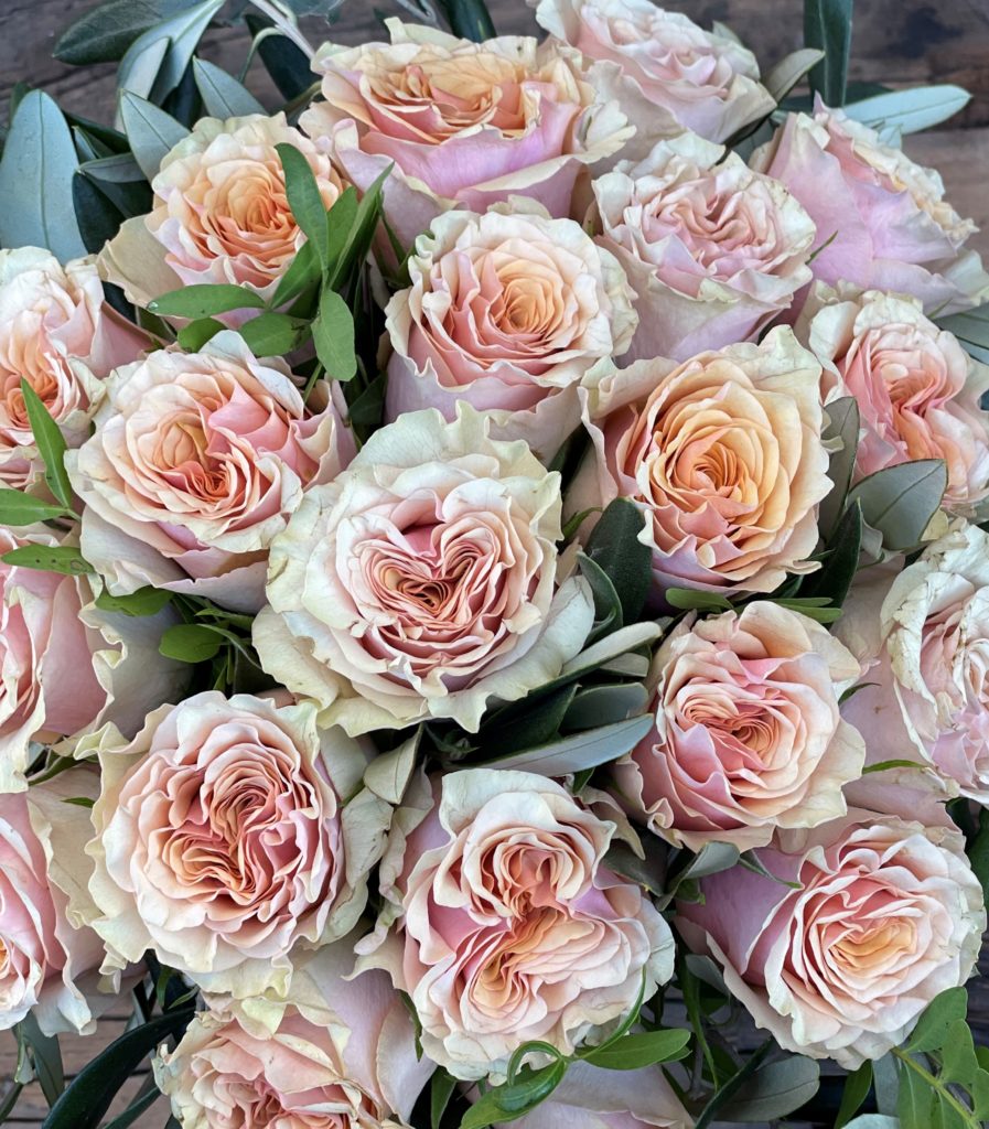 Blomster til valentinsdag 1 Fersken roser3