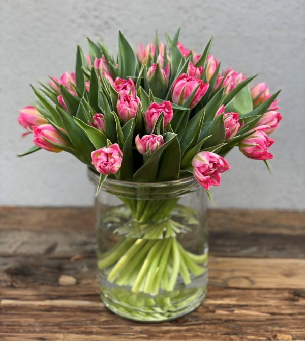 Rosa doble tulipaner - Bilde 3