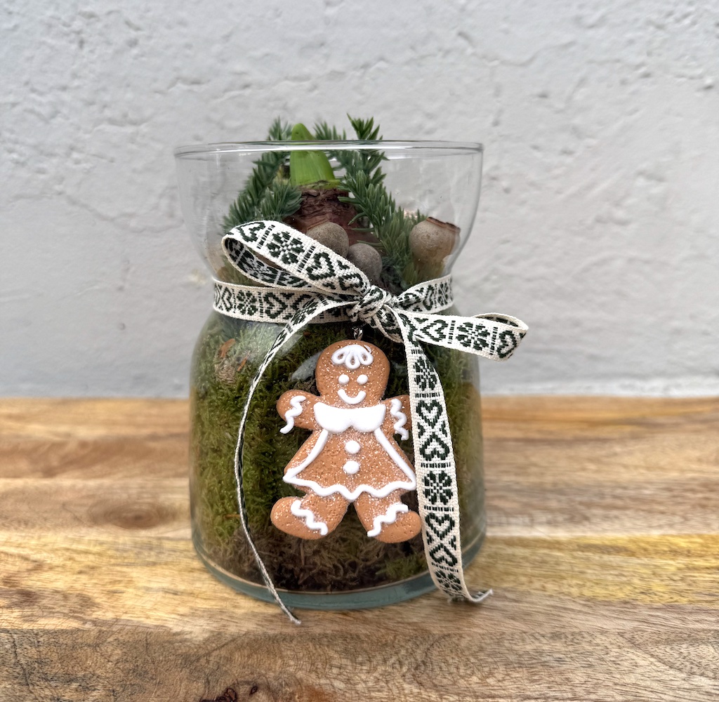 Amaryllisdekorasjon 1 Amaryllisdekorasjon