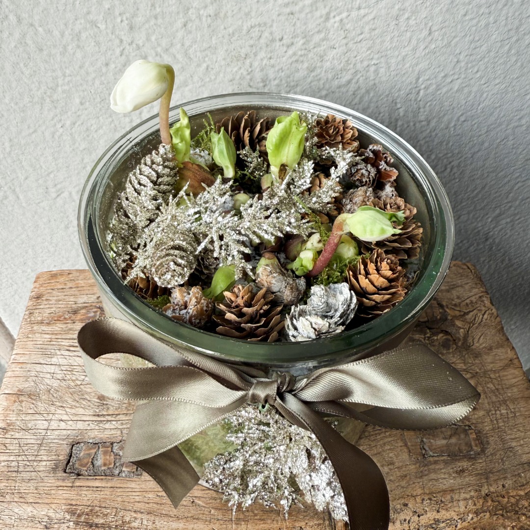 Julerose 2 Julerose - Bilde 2