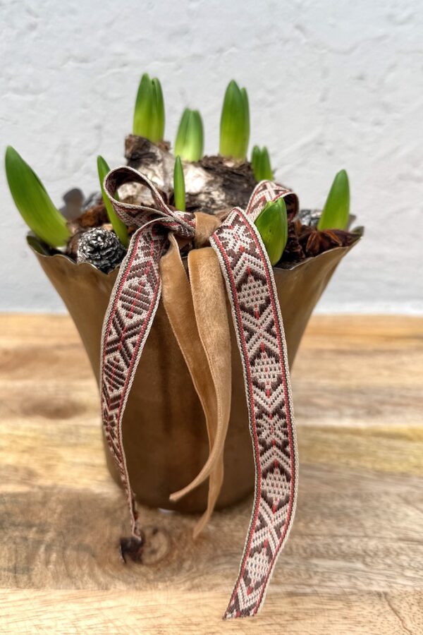 krøllsvibel - multiflora svibel