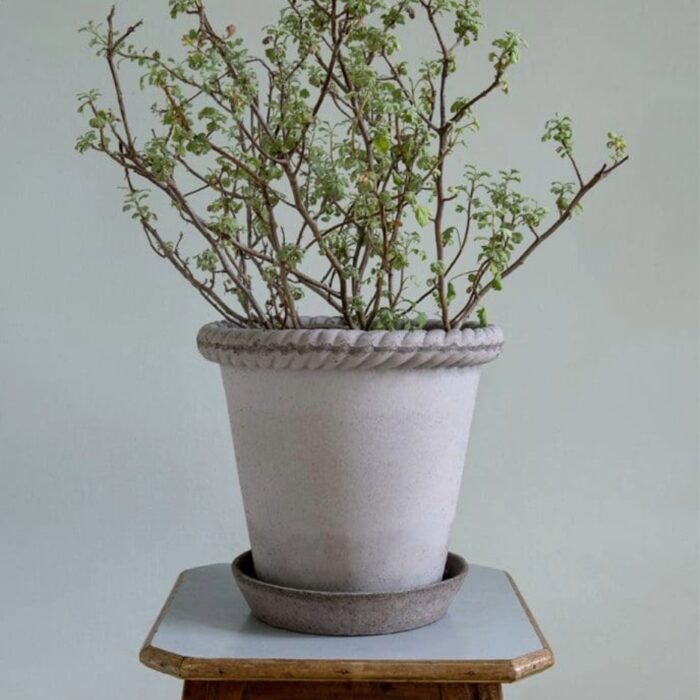 bergspotter blomsteroasen emilia gra terracotta