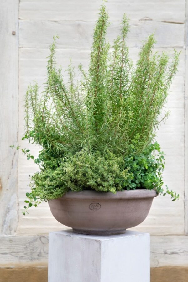 Bergs potter erbe bowl