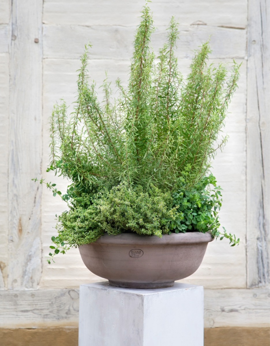 Bergs potter erbe bowl 1 Bergs potter erbe bowl