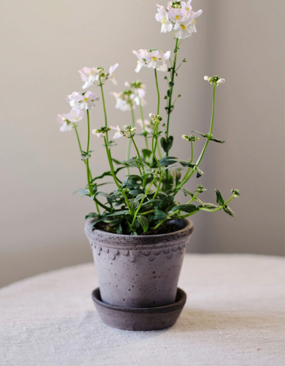 Bergs potter københavner 1 Bergs potter københavner