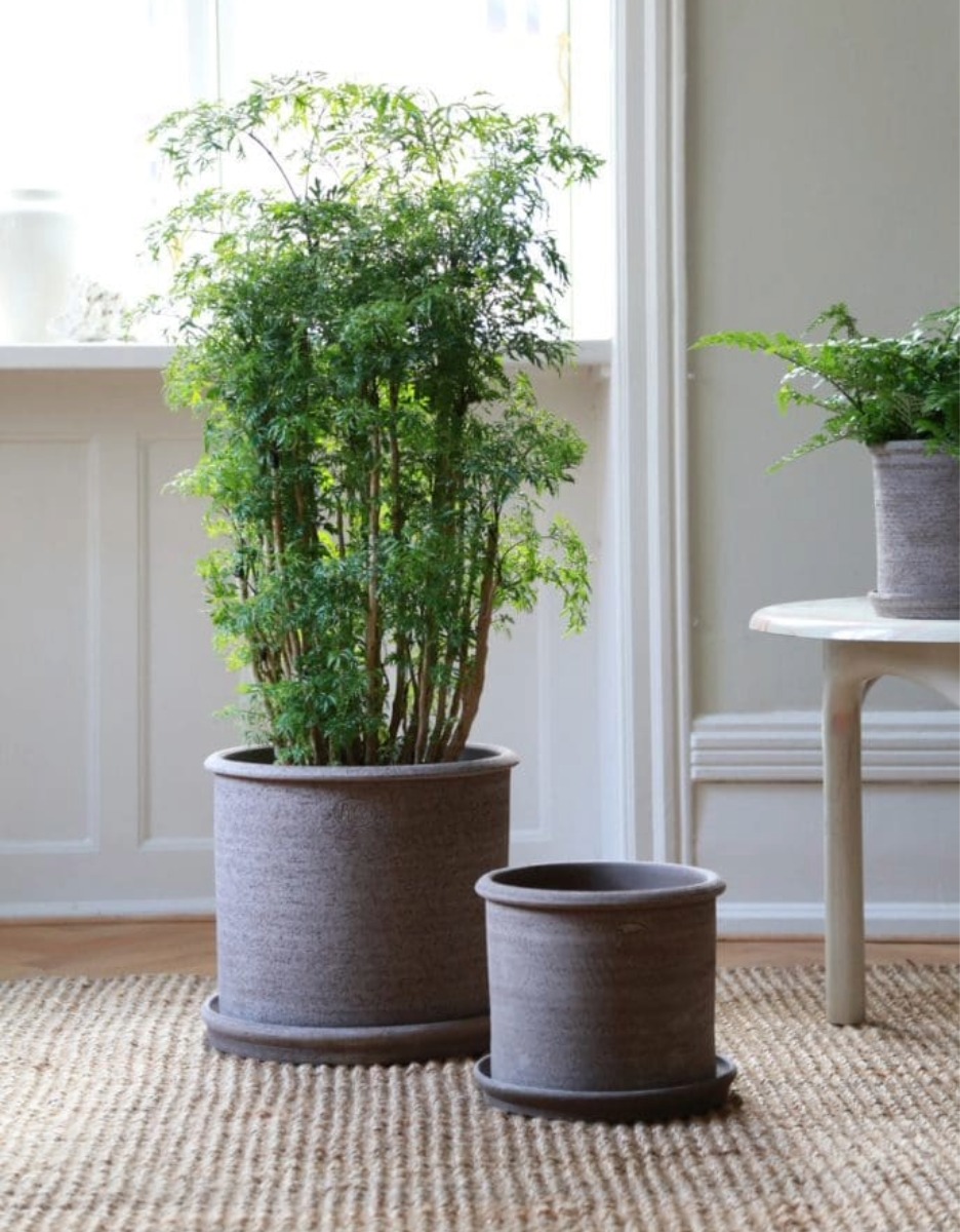 Bergs potter Modena 1 Bergs potter Modena