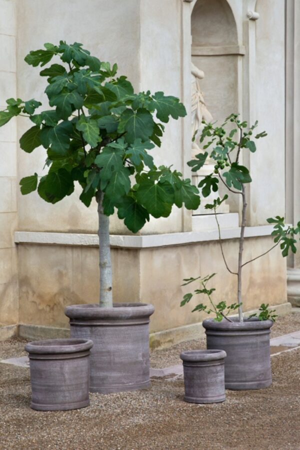 Bergs potter cilindro