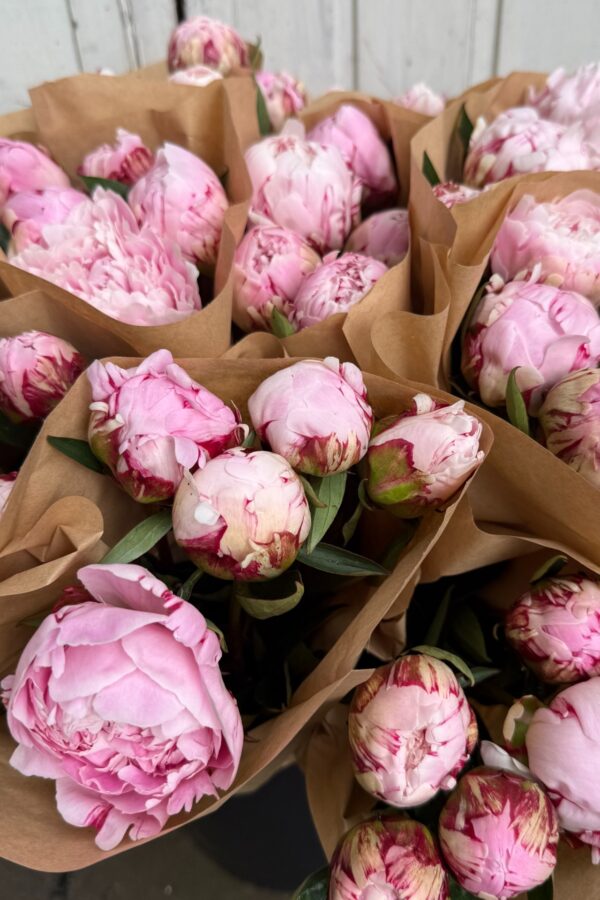 Blomsteroasen 2 bunder med rosa peoner i bøtte